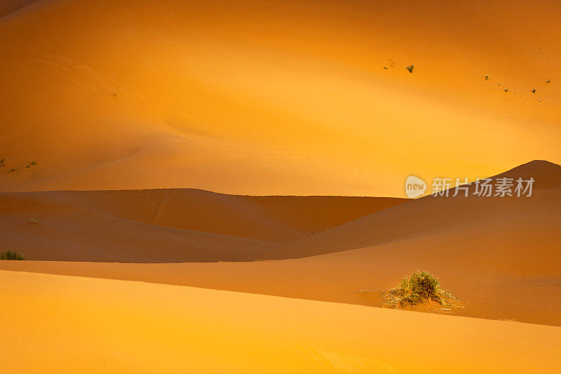 Erg Chebbi沙漠，日落，摩洛哥